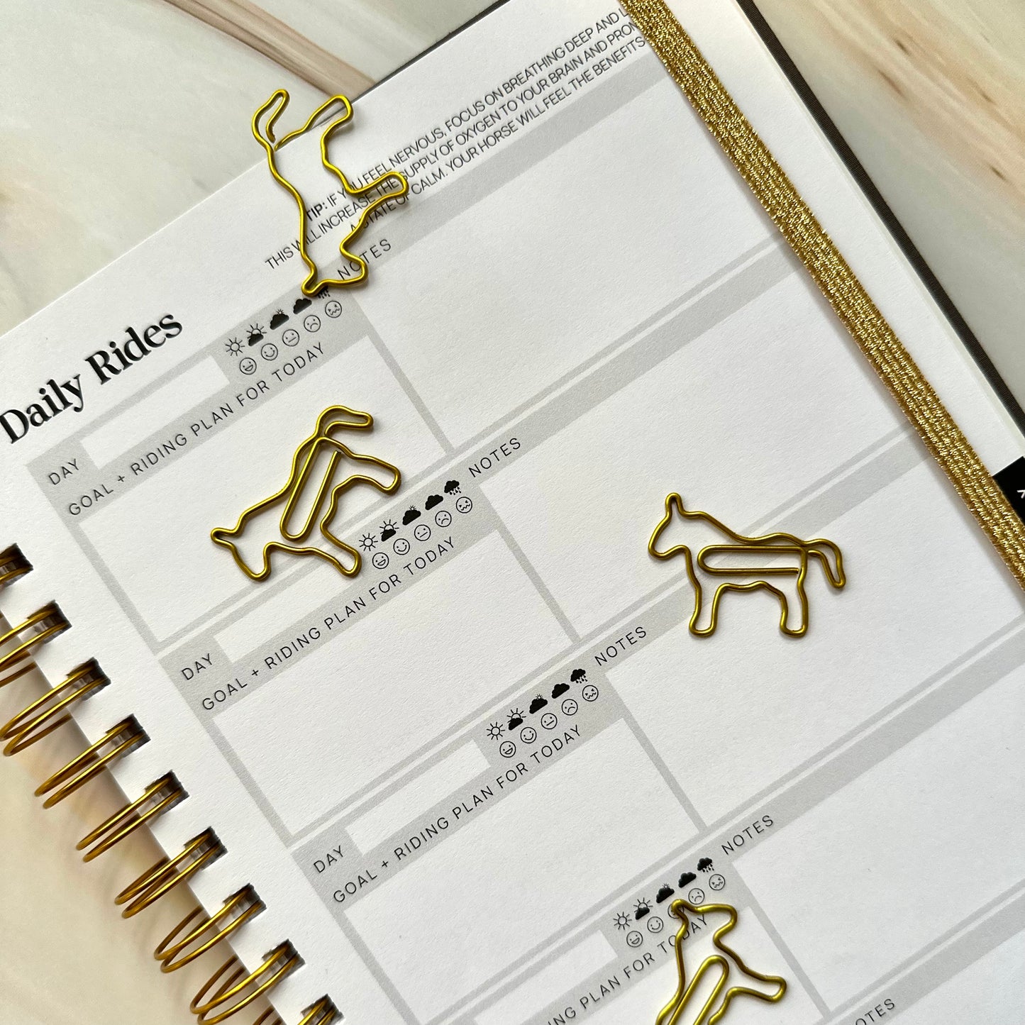 Horse Paper Clip