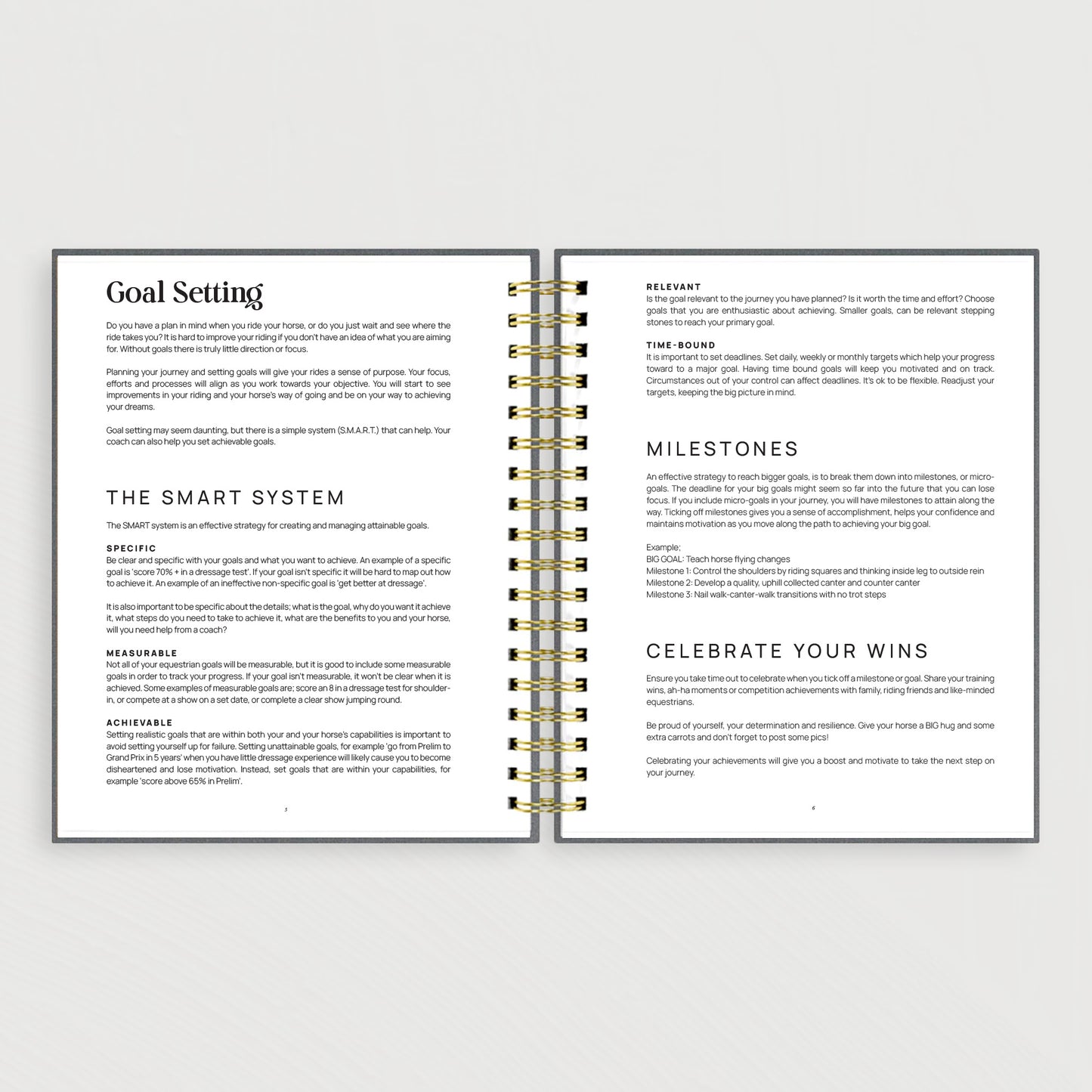 The Inspired Equestrian Journal Linen Edition + Cover Bundle