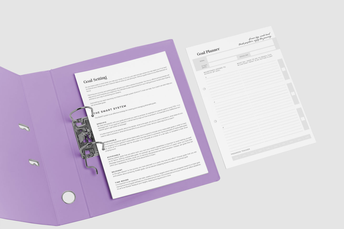 DIY A4 Print - GOAL PLANNER
