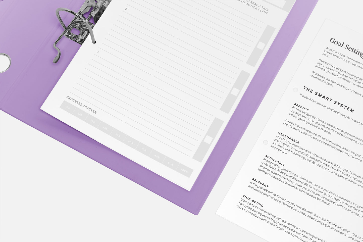 DIY A4 Print - GOAL PLANNER