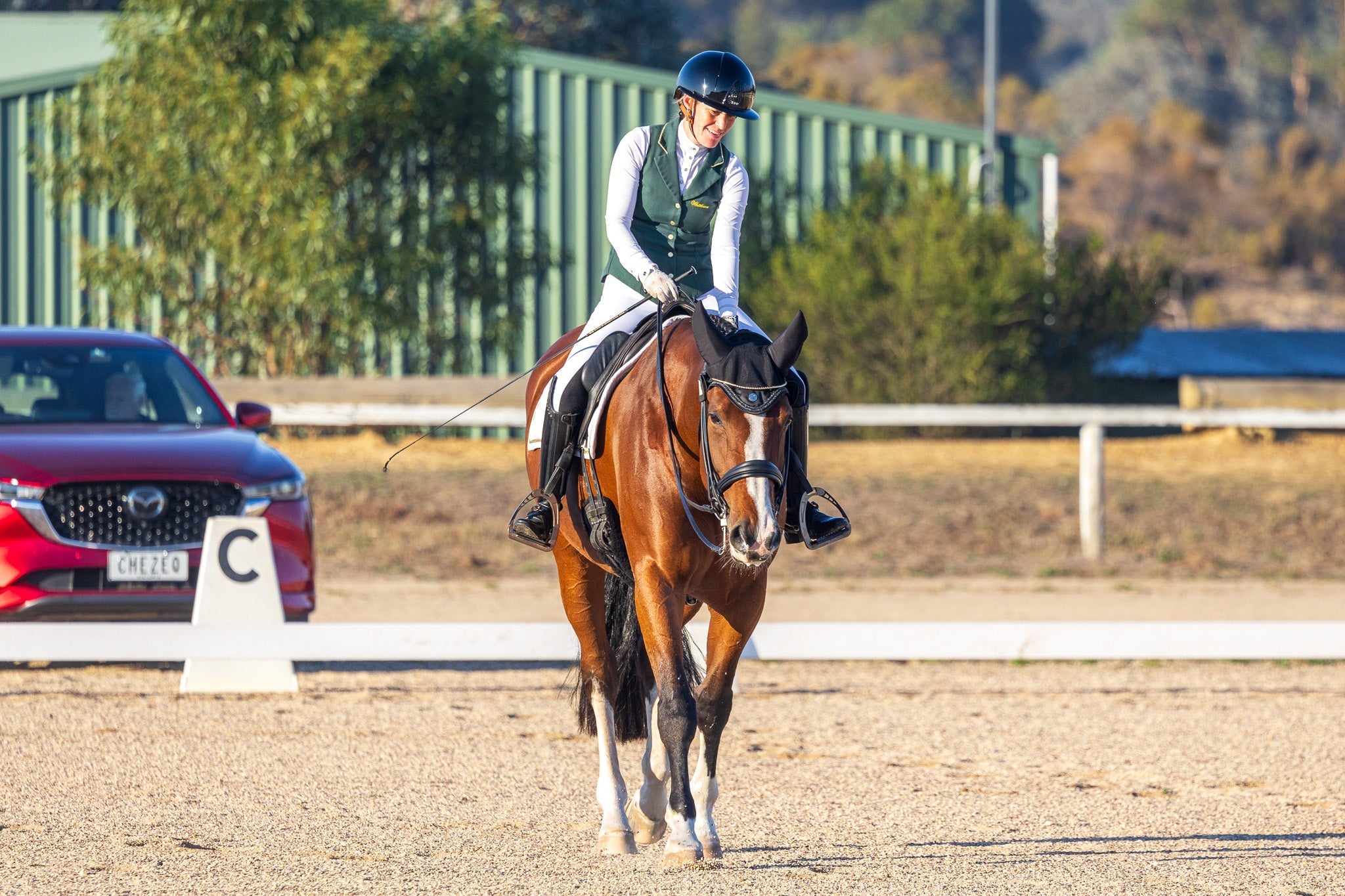 Your Thoughts Shape Your Riding – Inspired Equestrian Planners ...