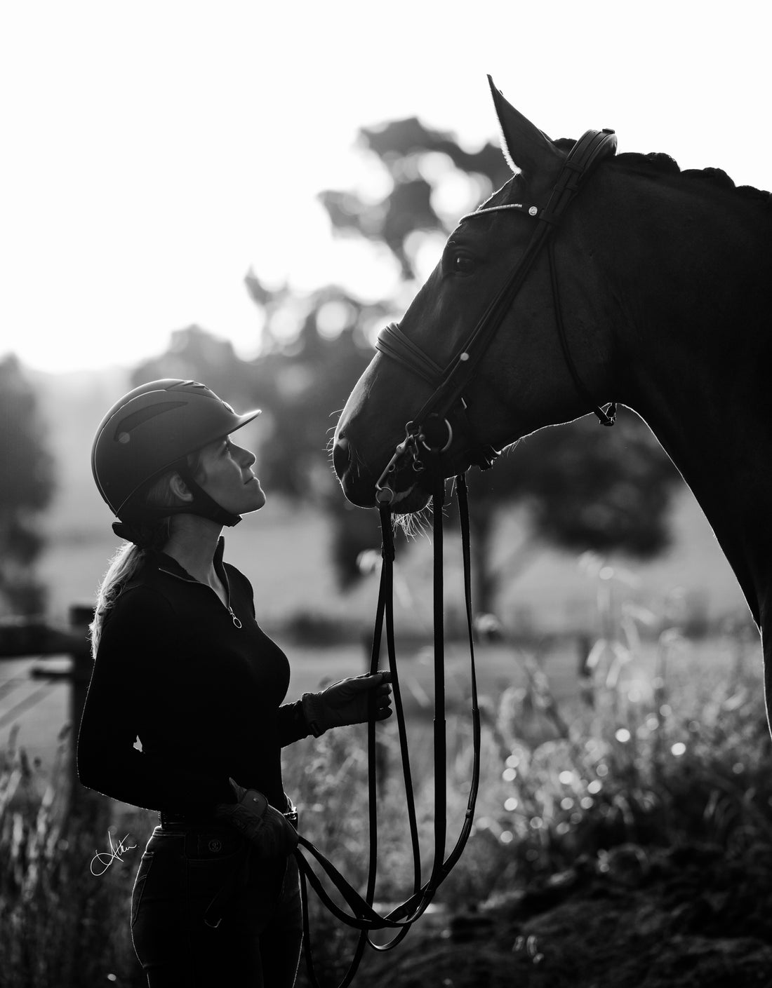 5 Simple Reasons Why Journaling is Beneficial to Horse Riders