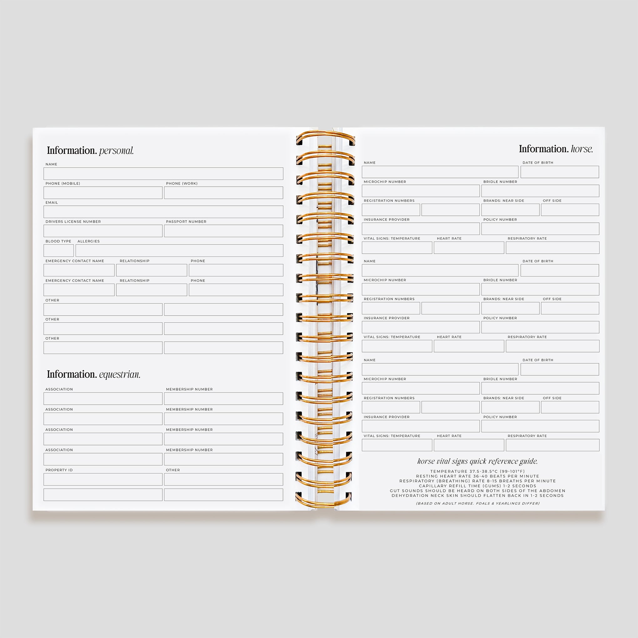 2026 Life Equestrian Planner + Journal | BLUE ROAN