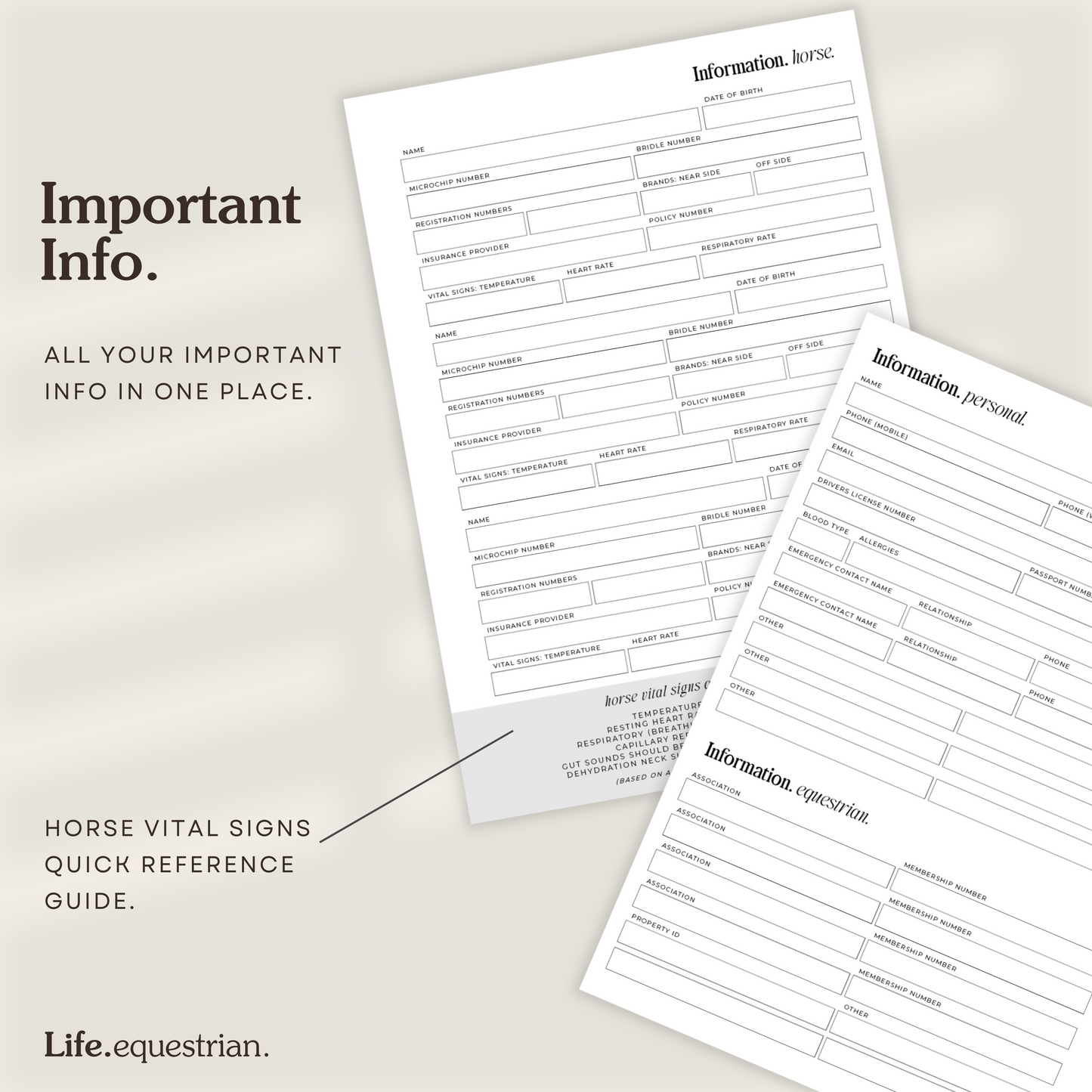 Life Equestrian 2025 Planner + Journal SAGE