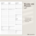 Life Equestrian 2025 Planner + Journal LILAC DREAM