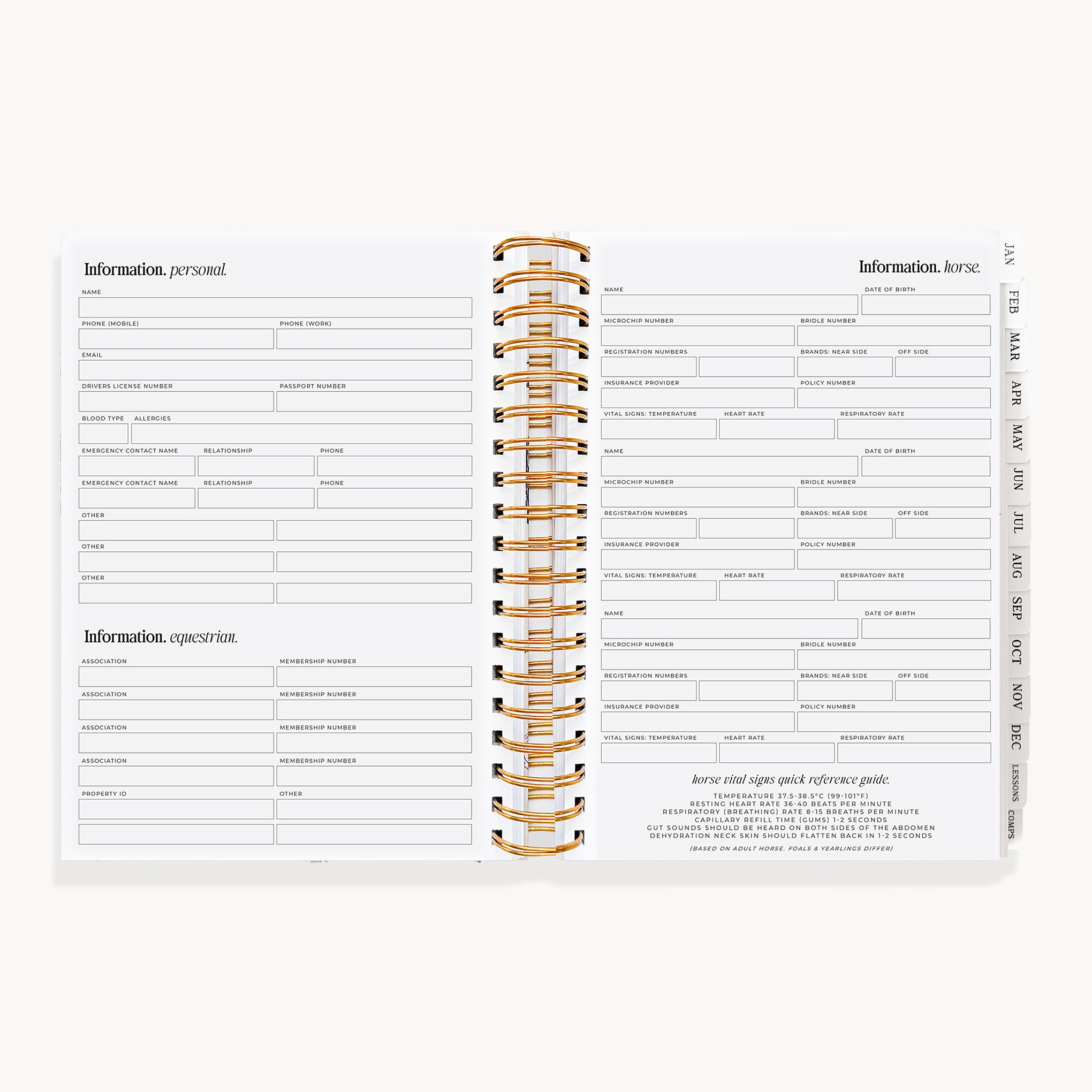 (Pre-Order) 2027 Life Equestrian Planner + Journal ✦ DUSTY ROSE (Faux Leather)