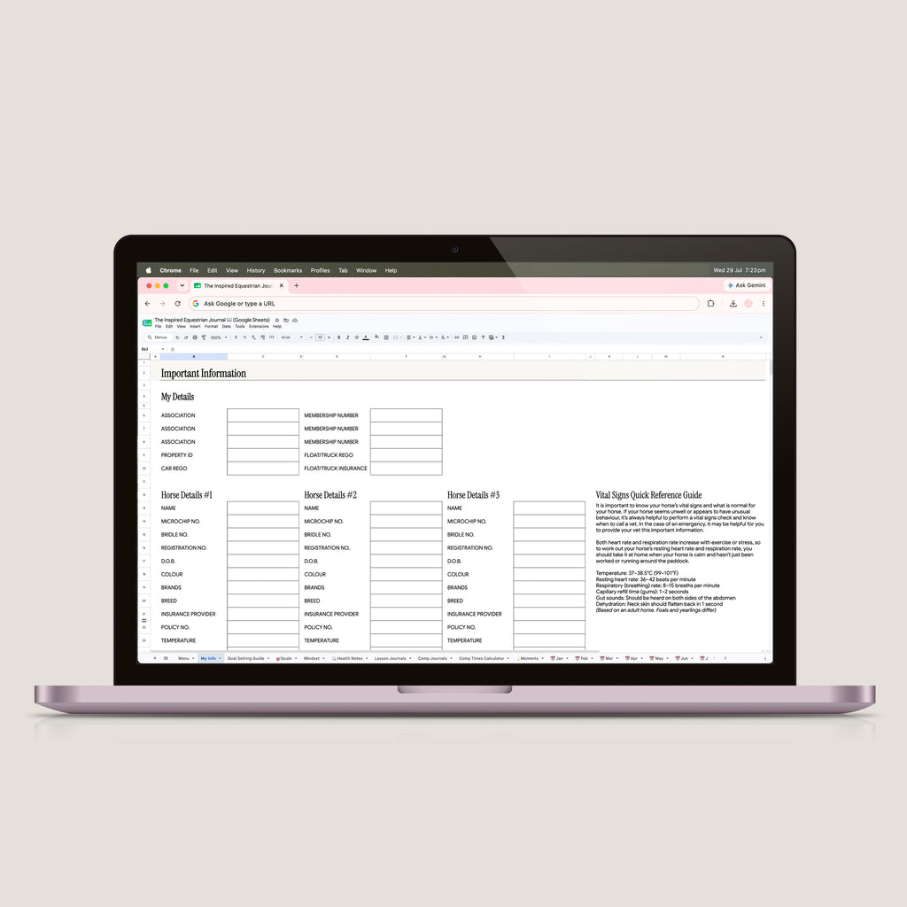 The Inspired Equestrian Journal Spreadsheet (Google Sheets)