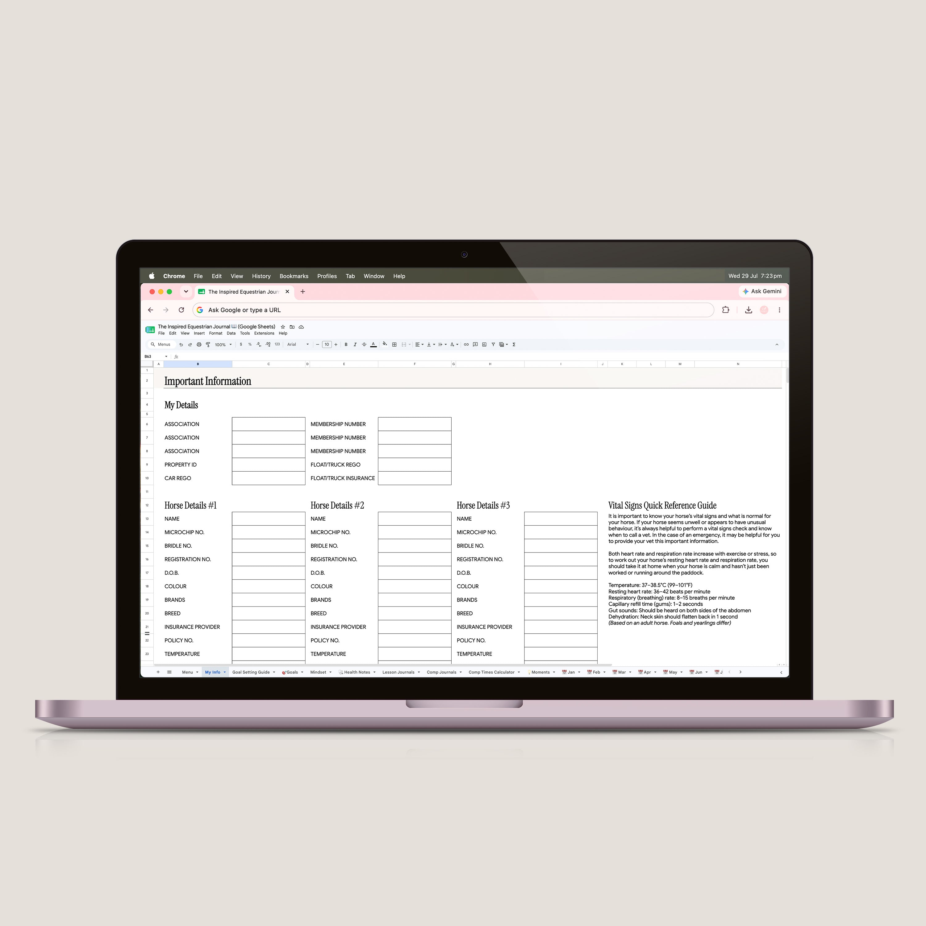The Inspired Equestrian Journal Spreadsheet (Google Sheets)