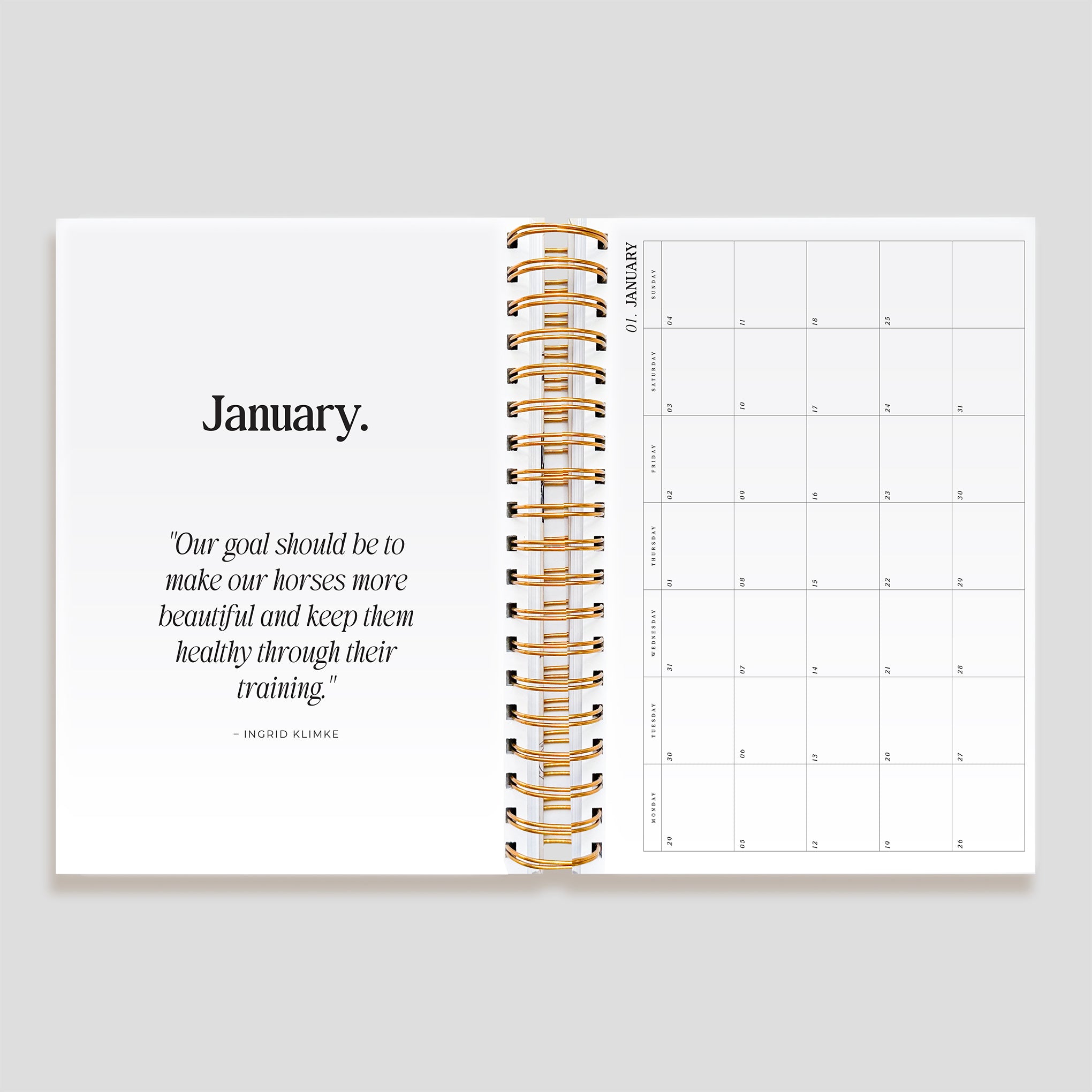 2026 Life Equestrian Planner + Journal | PALOMINO