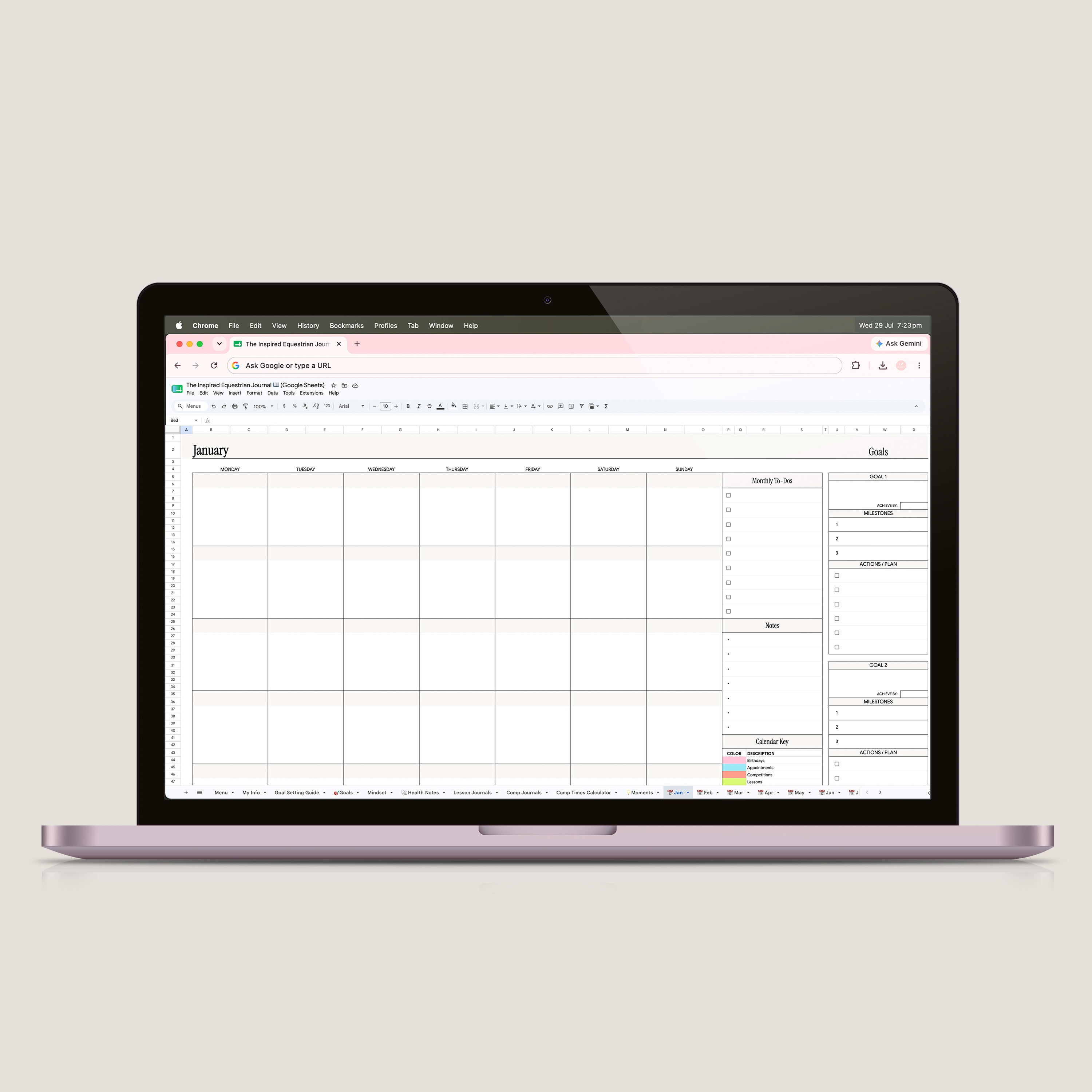 The Inspired Equestrian Journal Spreadsheet (Google Sheets)