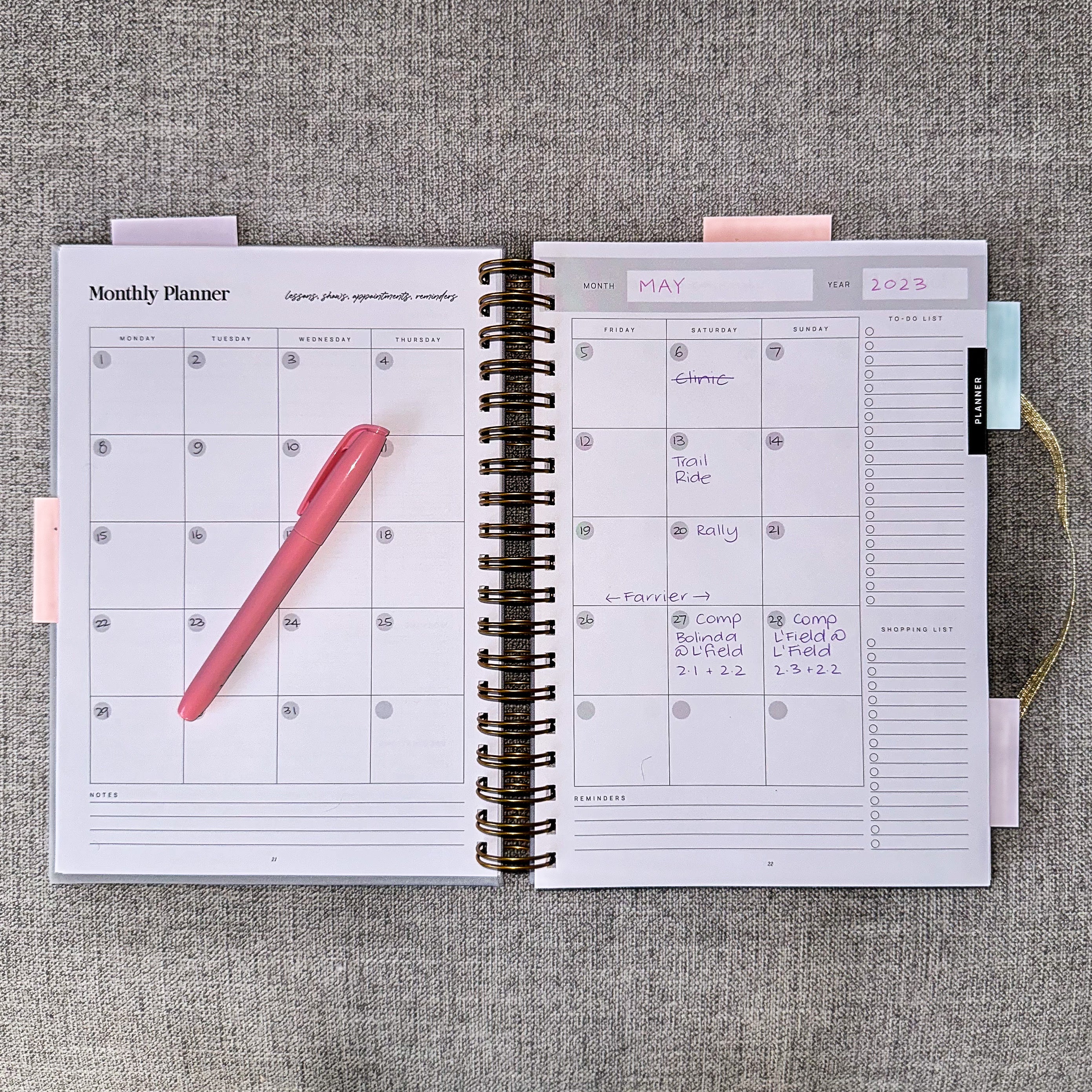 The Inspired Equestrian Journal - Cassidy