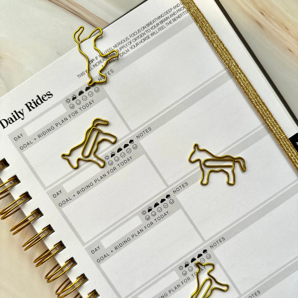 Horse Paper Clip