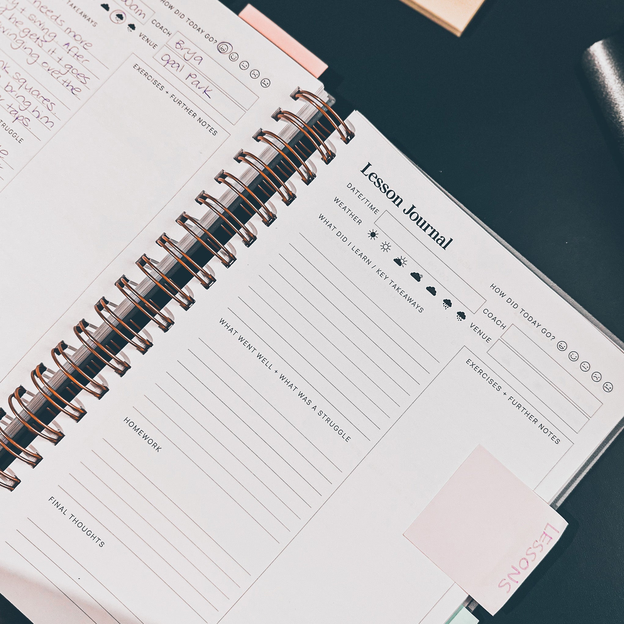 The Inspired Equestrian Journal - Cassidy