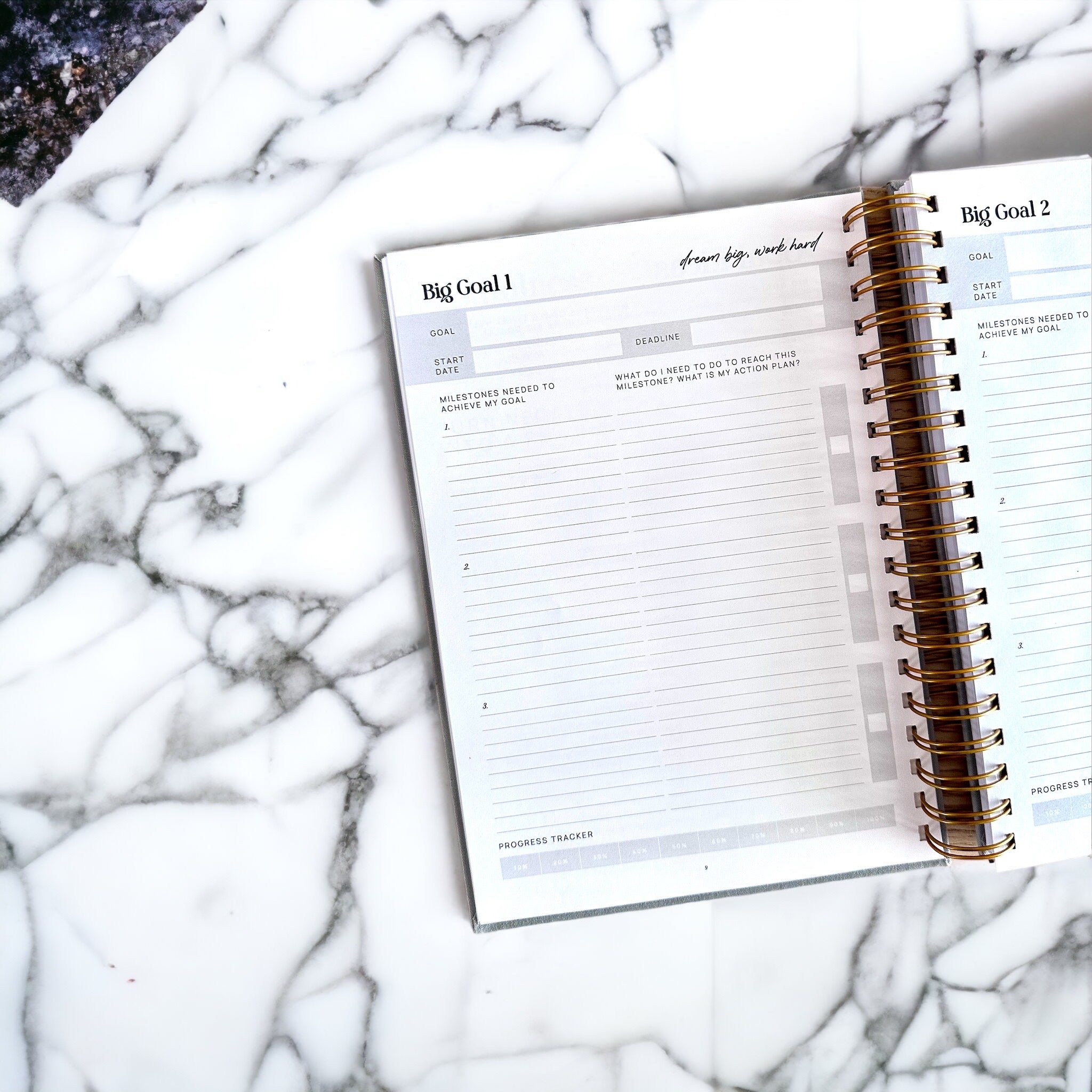 The Inspired Equestrian Journal - Cassidy