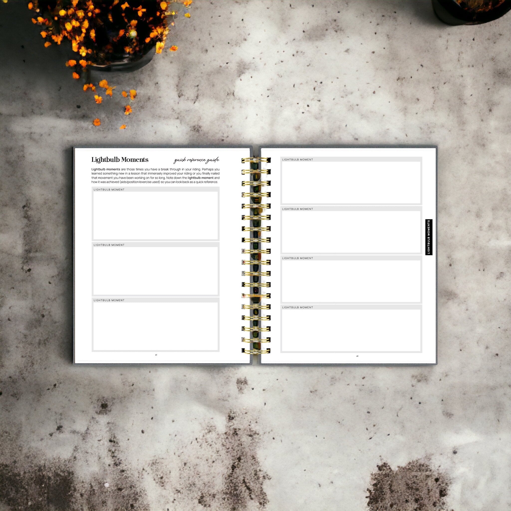 The Inspired Equestrian Journal - Cassidy