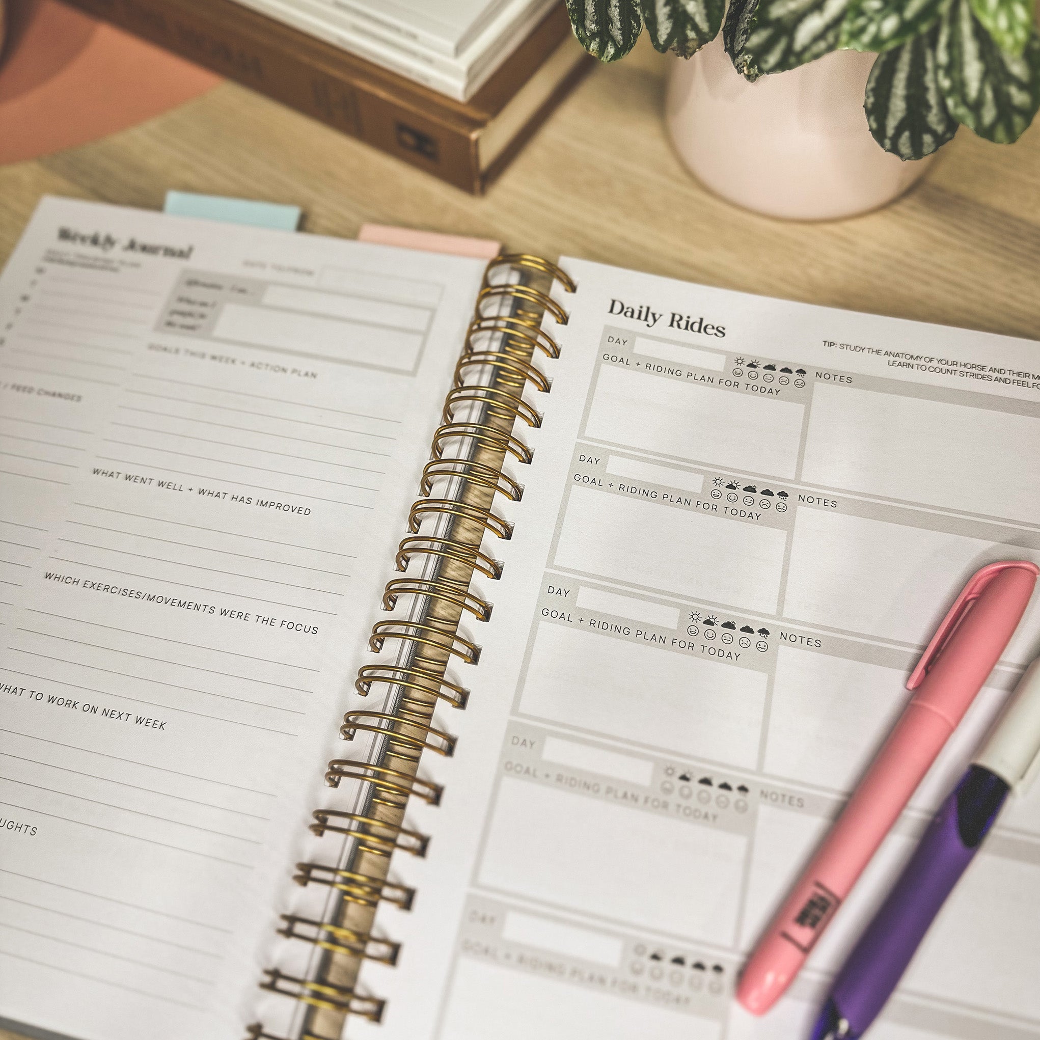 The Inspired Equestrian Journal - Cassidy