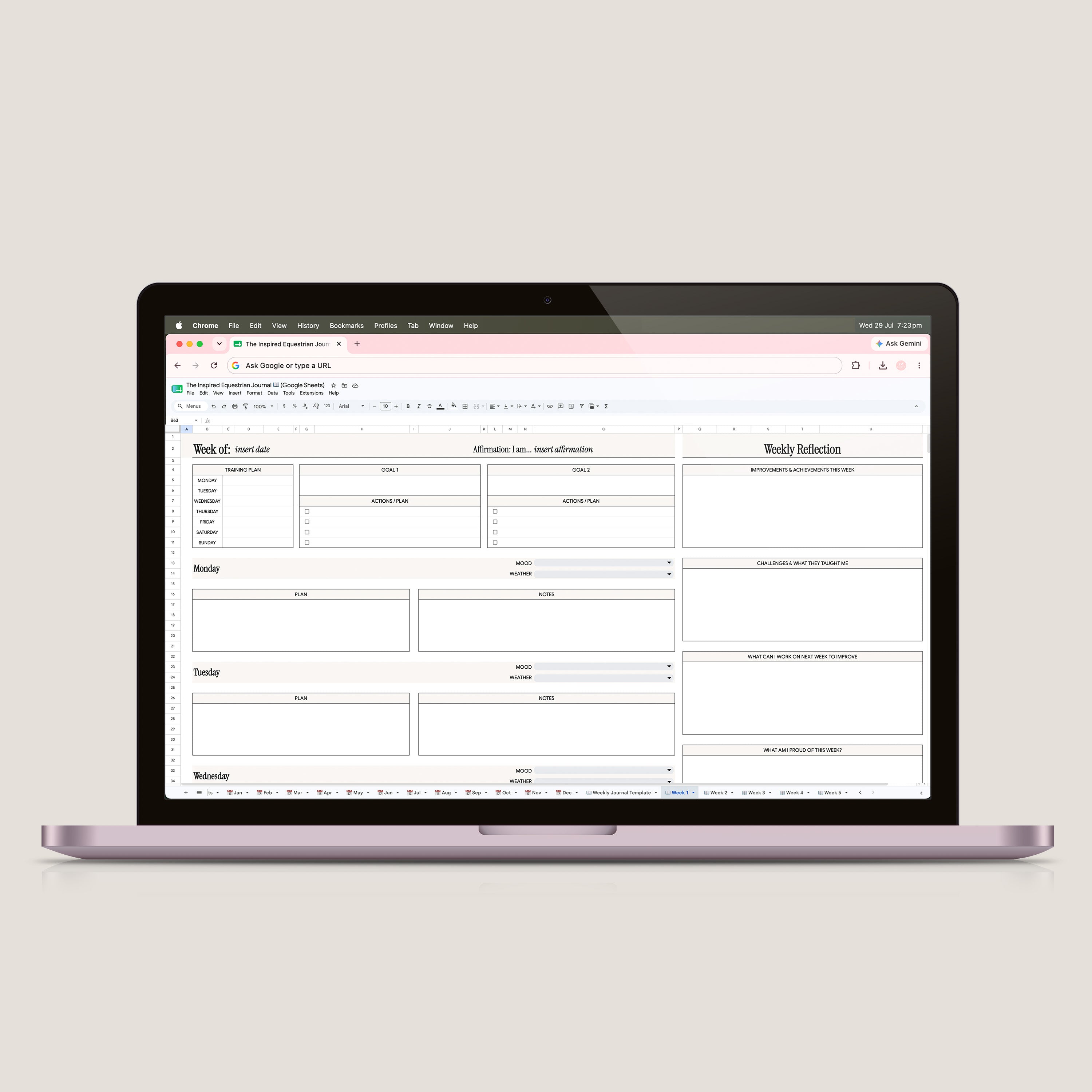 The Inspired Equestrian Journal Spreadsheet (Google Sheets)