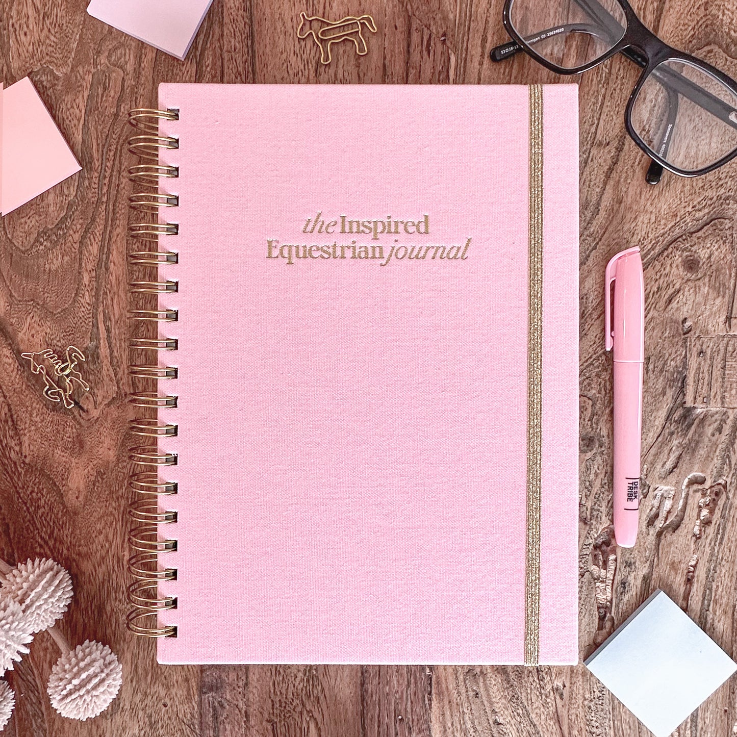The Inspired Equestrian Journal - Cassidy