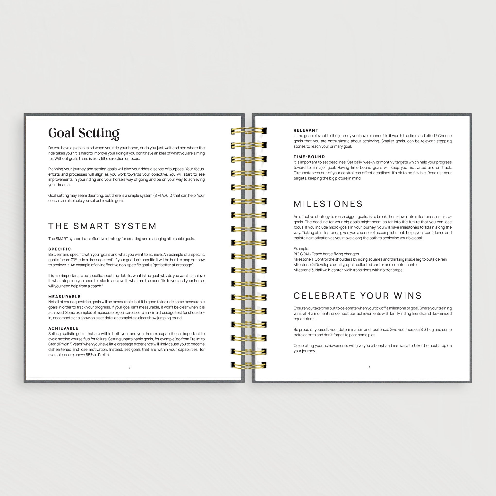 The Inspired Equestrian Journal Linen Edition + Cover Bundle